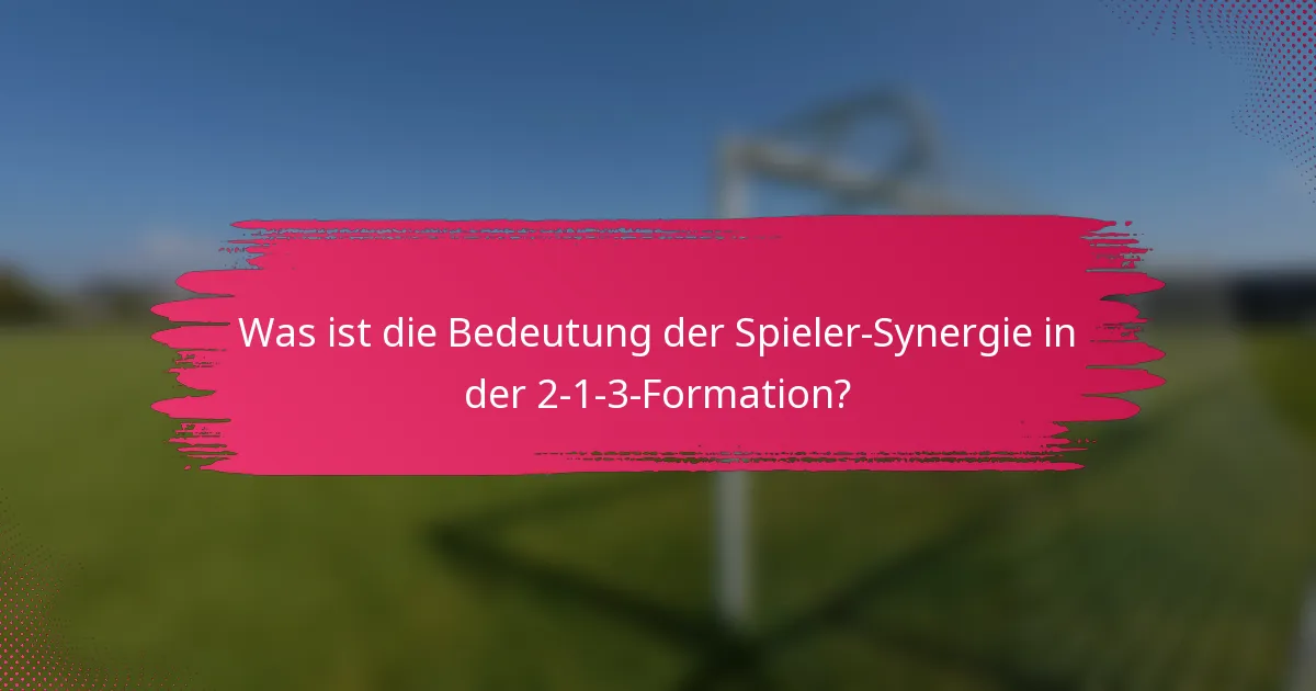 Was ist die Bedeutung der Spieler-Synergie in der 2-1-3-Formation?
